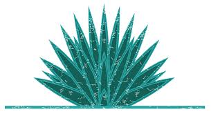 agave azul png 4 png image 1358383 png images pngio agave azul png 4 png image 1358383