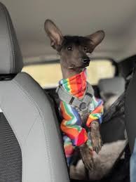 gute nacht ihr prinzen & prinzessinnen von maine ihr könige & königinnen  von neuengland manchmal habe ich es so satt beweisen zu müssen, dass frauen  etwas können. er hört nicht auf. all