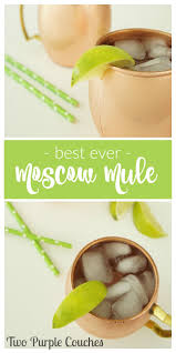 Best Ever Moscow Mule Recipe Moscow Mule Recipe Mule Recipe Moscow Mule Drink Recipes