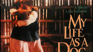 My Life as a Dog Summary, Trailer, Cast, Where to Watch and More