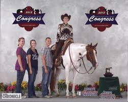 Pedro ferreira dacosta torchyn limelite. Limelite Show Horses Sale Horses