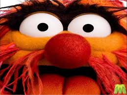 Create your own images with the animal muppet drumming meme generator. Animal Muppets Wallpapers Wallpaper Cave