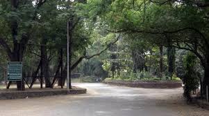 Sanjay Gandhi National Park reopens ...