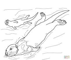 Ottern Ausmalbilder Ausmalbilder Ottern Coloring Pages Animal Coloring Pages Otters
