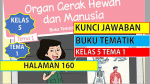 We did not find results for: Kunci Jawaban Buku Siswa Kelas 5 Tema 1 Halaman 160 Youtube