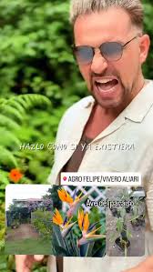 Agro Felipe/Vivero Aliari, Parita Herrera, whatsaap 63384406 Le esperamos  de Lunes a Sábados de 8:30am a 5:00pm. whatsaap 63384406 Parita