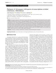 Image result for Anisopappus kirkii