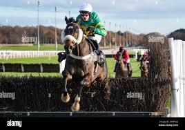 Ben mcmanus hi-res stock photography and images