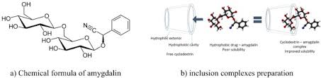 Amygdalin, a naturally occurring substance, has been suggested to be efficacious as an anticancer substance. Synthesis Characterization Of Inclusion Compounds Of Amygdalin With B Cyclodextrin And Sod Like Activity And Cytotoxicity On Hela Tumor Cells Sciencedirect
