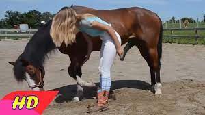 Https Animalporn Rocks Video 8646 Evil Ladies – Porn Photos Sex Videos