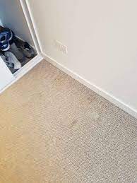 We did not find results for: Sisal Carpet Cleaning Gold Coast Gold Coast Carpet Cleaning