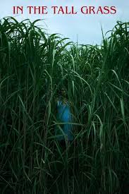 Watch greenland 2020 full movie on 123movies. Nonton Film In The Tall Grass 2019 Sub Indonesia Rumput Film Horor