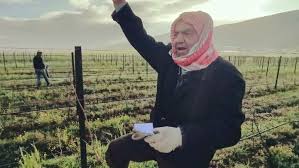 Abu Michael singing with the vines , Off of offf, #Corona #lebanesewine  #livelovebekaa #livelovelebanon #whatsuplebanon #lebanese #lebanesewine  #lebanon_pictures #lebanon #zahle #lebanesetourism ...