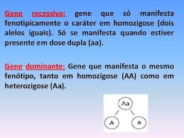 Ayer en el restaurante me encontré con un amigo que había estudiado conmigo en la universidad. Scfnqq7sluv8vm