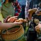 Wild Mushrooms 101