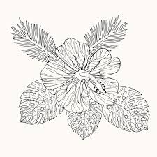 The original format for whitepages was a p. Vector Hibiscus Flower And Leaves Stock Vector Illustration Of Cold Adult 69867262