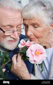 Occhio al fiore immagini e fotografie stock ad alta risoluzione