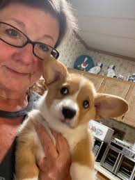 So I walk into my dining room and this is where I find Toby!