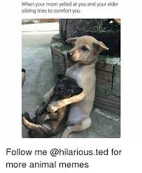 Animals Too Have Unresolved Issues With Their Mom Memes Dog Quotes Funny Funny Mom Memes Funny Dogs