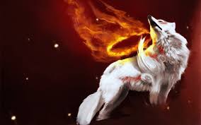fire wolf wallpaper 61 images