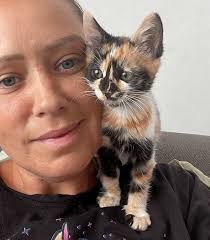 Kitten with Beautiful Markings Found Roaming Outside, 2 Months Later, Her  Wish Comes True with 3 Other Cats