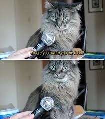 20 Funny Pictures That Will Make You Laugh Every Single Time 5 Made Me Cry We'll never post to facebook without your permission we will access facebook to get and use your email address, friend list, interests, likes and public profile, which includes your name, profile picture, user id, age range, gender, networks, language, country and.