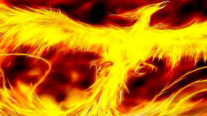 Phoenix most often refers to: Phoenix Theory T Nation