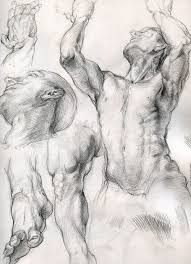 Hatching In Art Google Search Male Figure Drawing Life Drawing Reference Anatomy Sketches