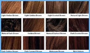 Shades Of Brown Hair Color Chart Matrix For Dark Light Shade