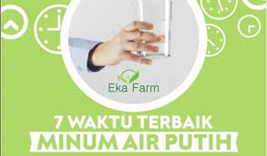 Bila air seni berwarna kuning cerah/bening dan jumlahnya banyak, itu berarti kebutuhan cairan tubuh cukup baik dan sudah. Tips Minum Air Putih Archives Eka Farm