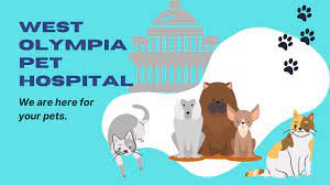 We did not find results for: West Olympia Pet Hospital Home Facebook