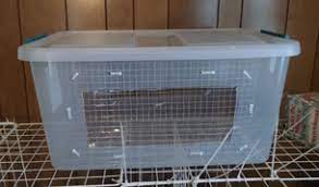 Check out these fab rat cage ideas to find the best one for you. How To Make A Diy Bin Cage For Rats Rat Trixs Do More With Your Rats