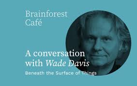 Beneath the Surface of Things