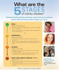 A person will have a creatinine level that is three times their baseline, or that is greater than 4.0 mg/dl. 100 Stage 3 Kidney Disease Ideas Renal Diet Recipes Kidney Friendly Foods Kidney Diet