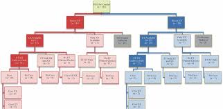 Gender Selection Patient Decision Tree Xx Female Xy