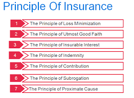 This clause applies if your insurer has paid a claim for property damage or loss of income that is covered by your policy. Principles Of Insurance With Example Insuregrams