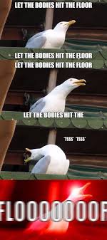 Inhaling Seagull Hit The Floor Inhaling Seagull Shawn Mendes Funny Shawn Mendes Memes Shawn Mendes Lyrics