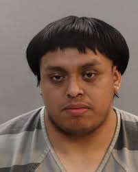 BUHL, WILFORD Charges: DOMESTIC ASSAULT AGGRAVATED CRIMINAL TRESPASS  EXPIRES ON 06/02/2023 AT 1301 This information and more is available at  https://sheriff.knoxcountytn.gov