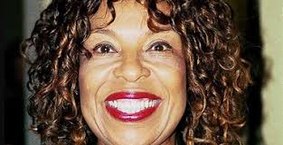 I Used to Think Shih Tzus Were the Best Lap Dogs, But These 8 Breeds Are  Better