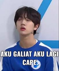 Lowongan pekerjaan di asian agri. The Bobrok Squad Producex101 Kpop Memes Meme Faces Funny Kpop Memes