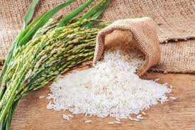 How long is a grain of rice? Upland Rice Varieties Growing Guide Care Problems And Harvest