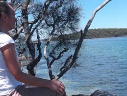 MIDL 0/36: Insight Meditation: Grounding Your Awareness