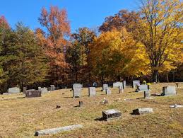 TNGenWeb Cemetery Records > Millsaps&nbsp;Cemetery,  Hamilton&nbsp;Co.&nbsp;TN