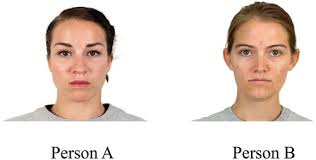 Full article: Help me Obi-Wan: the influence of facial dominance