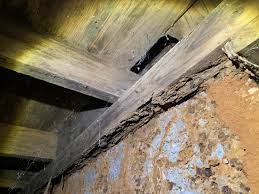 Termites can handle wrecking your residences' exactly what do i am talking about by unwanted pests? bots, bugs, and cockroaches are good examples of unwanted pests that might be. Termite Control Protection Tyler Tx East Texas Termite And Pest Control