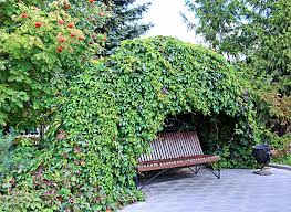 Continue to 6 of 15 below. 60 Garden Bench Ideas Photos