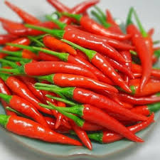 If you follow them exactly you will generally have success with your canned hot sauce. Wholesale Red Hot Bell Chilli Fresh Cayenne Peppers With Good Price Buy Red Sweet Vinegar Peppers Red Bell Pepper Extract Specification Of Fresh Pepper Product On Alibaba Com