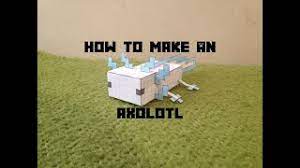 Finding a blue axolotl can be a challenge, though once players find one, it becomes easier to get from there. How To Make A Minecraft Axolotl Youtube