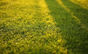 Maybe you would like to learn more about one of these? Lawn Care Tips To Keep Your Grass Healthy And Beautiful The Florida Villager
