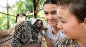 Crocodylus Park (Darwin)